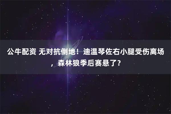 公牛配资 无对抗倒地！迪温琴佐右小腿受伤离场，森林狼季后赛悬了？